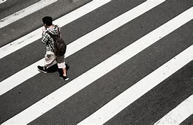 Zebra Cross Itu Artinya Apa